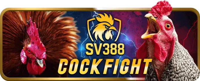 Tổng quan khuyến mãi v8club